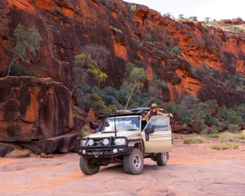 Spread over 46,000km2 of desert landscapes, rocky gorges and attractive waterholes, the Finke Gorge National Park is popular both for its beauty and close proximity to Alice. It??s most famous for the oasis-like Palm Valley, which is full of towering red cabbage palm trees, a species found nowhere else in the world and lends an appealing prehistoric feel.The Finke River is also found in the park and is estimated to be the oldest river in the world, dating back 350 million years. The park is also popular for its bushwalking and 4WD tracks.