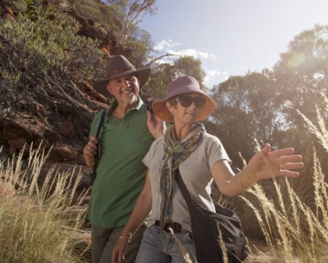 Visitors explore Kings Canyon on the Kings Creek walk.Go on a drive out to Watarrka National Park, home of Kings Canyon. Walk along the red rock cliffs and take in views of the forest of palms below. Kings Canyon is a majestic destination featuring 100m-high sandstone walls, palm-filled crevices and views that stretch across the desert.