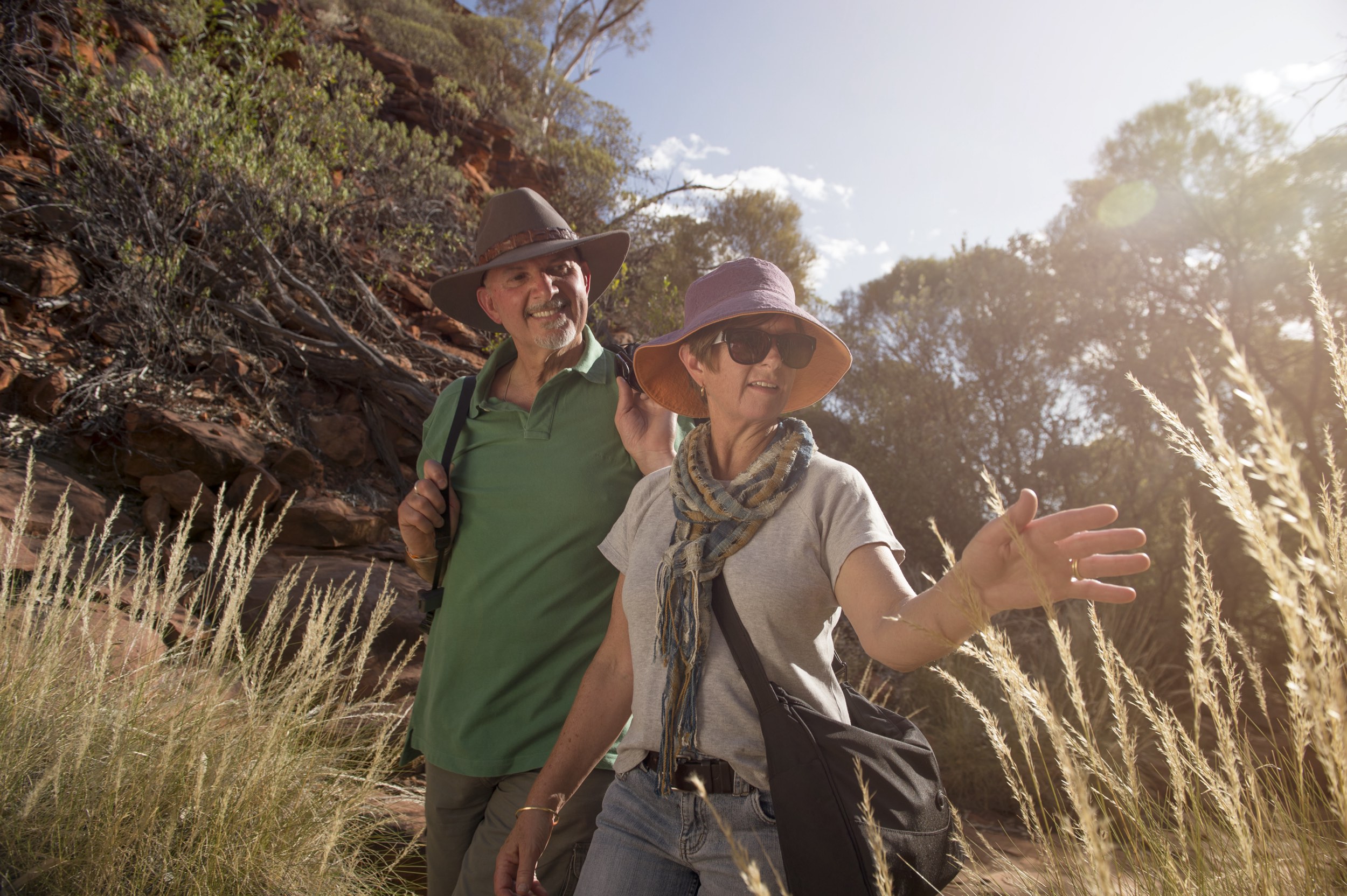 Visitors explore Kings Canyon on the Kings Creek walk.Go on a drive out to Watarrka National Park, home of Kings Canyon. Walk along the red rock cliffs and take in views of the forest of palms below. Kings Canyon is a majestic destination featuring 100m-high sandstone walls, palm-filled crevices and views that stretch across the desert.