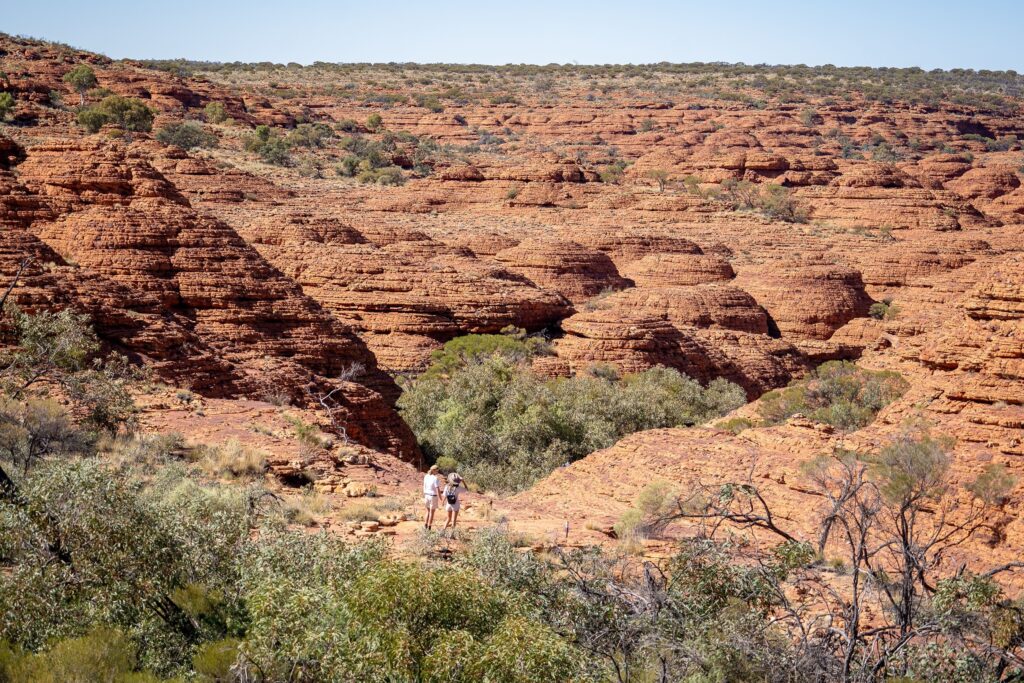 Feel on top of the world as you walk along the towering red rock cliffs of Kings Canyon and take in views of the forest of palms below.

Watarrka National Park is only three hours?? drive from Uluru, and is home to the mighty Kings Canyon – a majestic destination featuring 300m high sandstone walls, palm-filled crevices, and views that stretch across the desert.