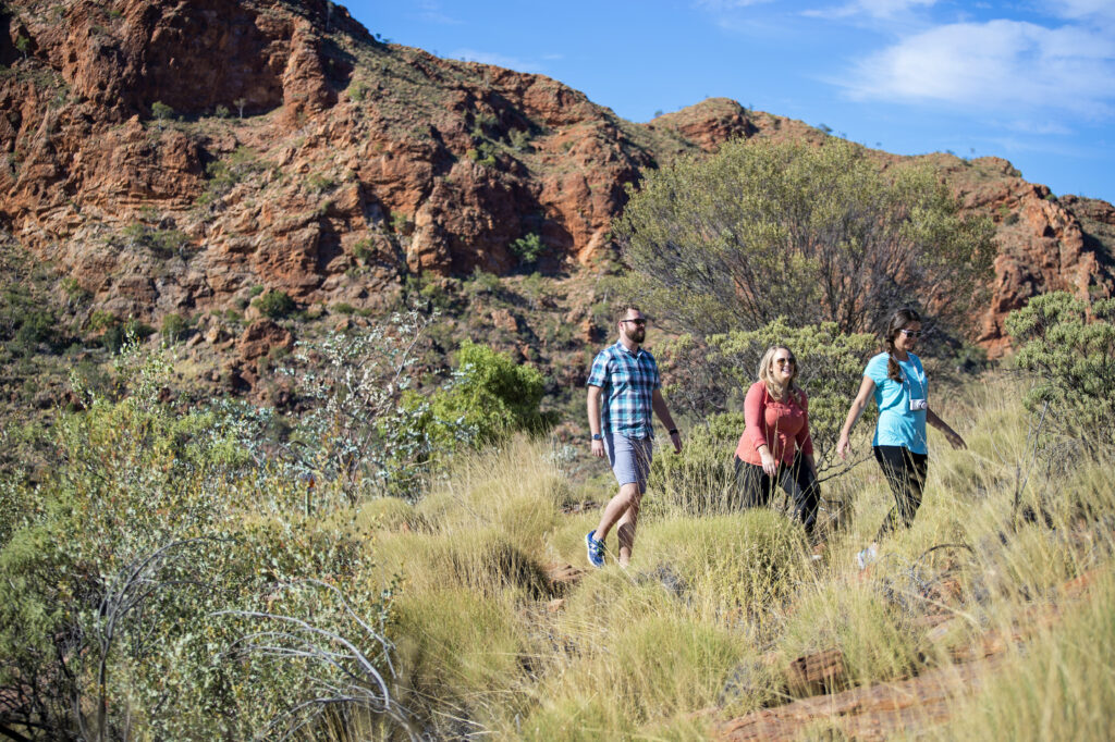 Discover the rugged landscapes, wildlife, and Aboriginal and pastoral histories of the East MacDonnell Ranges at Trephina Gorge Nature Park. Trephina Gorge has wide views and a sandy creek bed and can be explored via a network of short walking tracks.