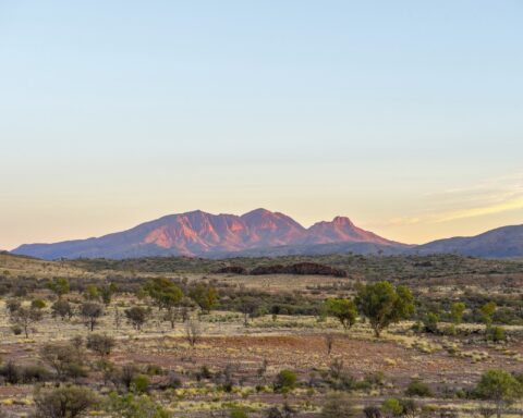 The sun rises over Mt Sonder, viewed from the Mount Sonder Lookout Tjoritja / West MacDonnell National Park.Tjoritja / West MacDonnell National Park stretches for 161 km west of Alice Springs. Explore and appreciate the scenic beauty and history of the area on foot, swim in a waterhole, or pitch a tent for a longer stay.