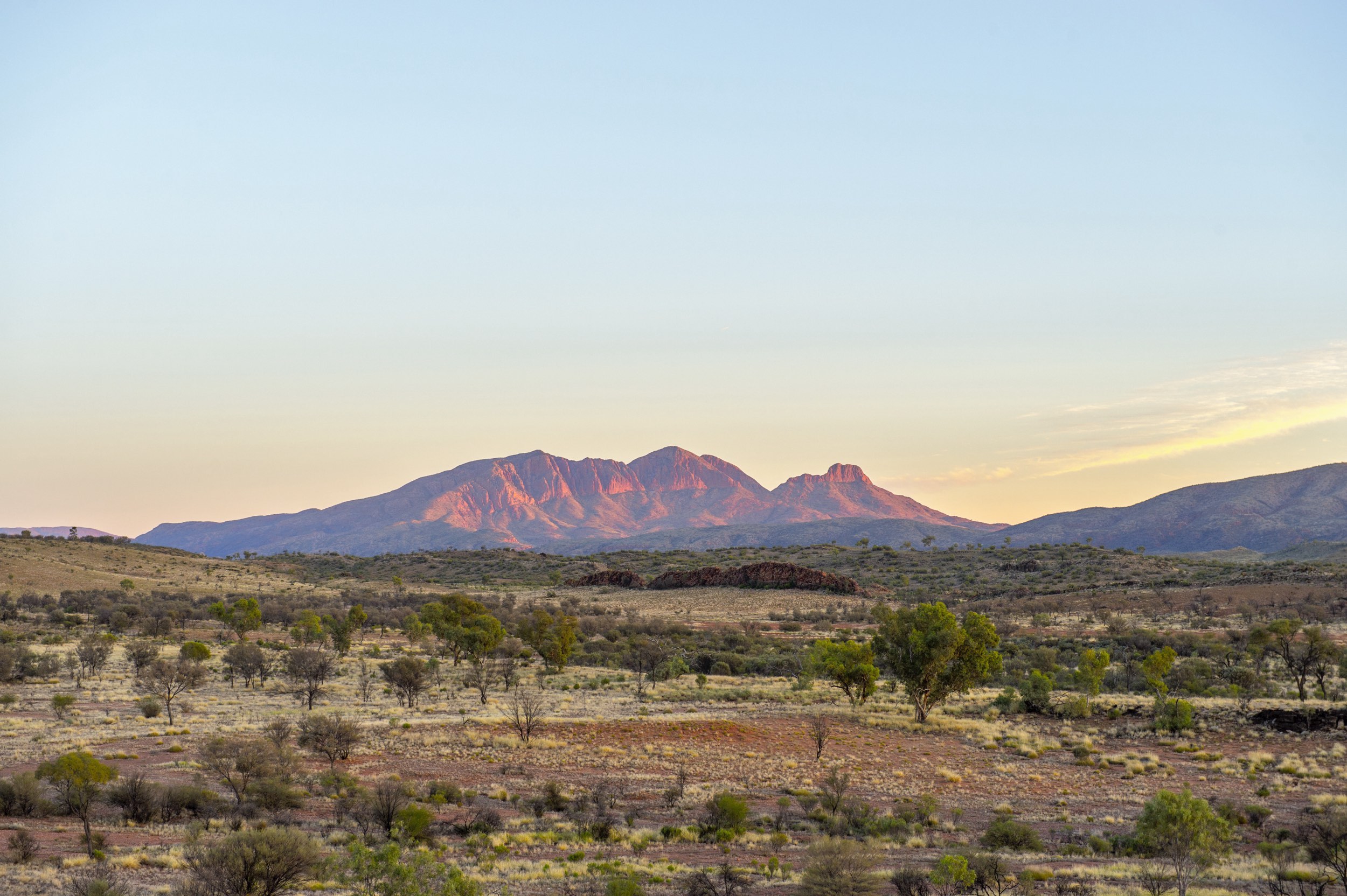 The sun rises over Mt Sonder, viewed from the Mount Sonder Lookout Tjoritja / West MacDonnell National Park.Tjoritja / West MacDonnell National Park stretches for 161 km west of Alice Springs. Explore and appreciate the scenic beauty and history of the area on foot, swim in a waterhole, or pitch a tent for a longer stay.